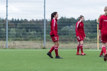 Bild 128 - F FSG Kaltenkirchen - SV Wahlstedt : Ergebnis: 6:1